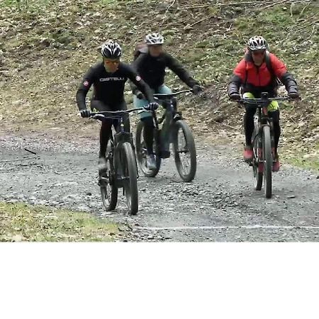 Le Cocon Du Catogne Proche Martigny Verbier - Netflix - Valettes Exterior photo