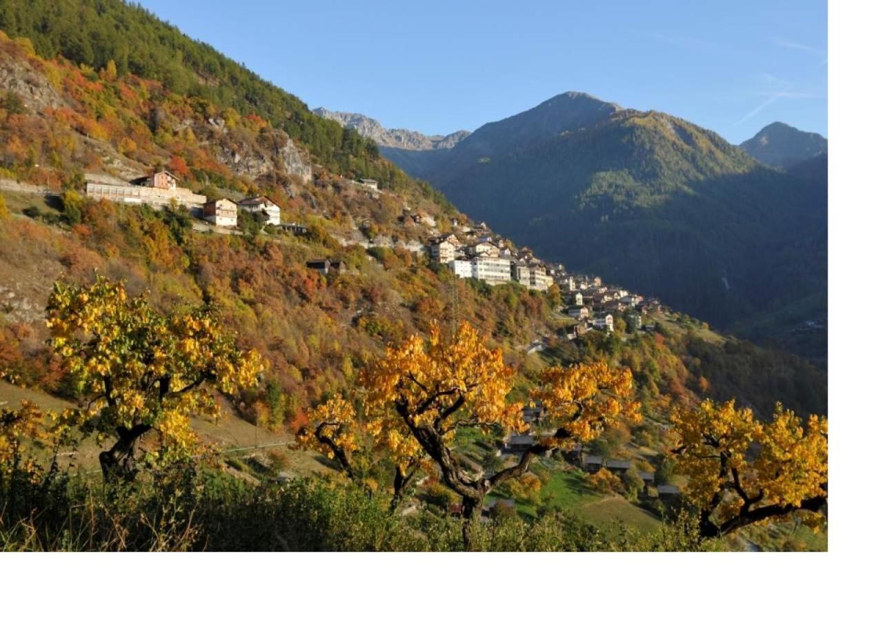 Le Cocon Du Catogne Proche Martigny Verbier - Netflix - Valettes Exterior photo