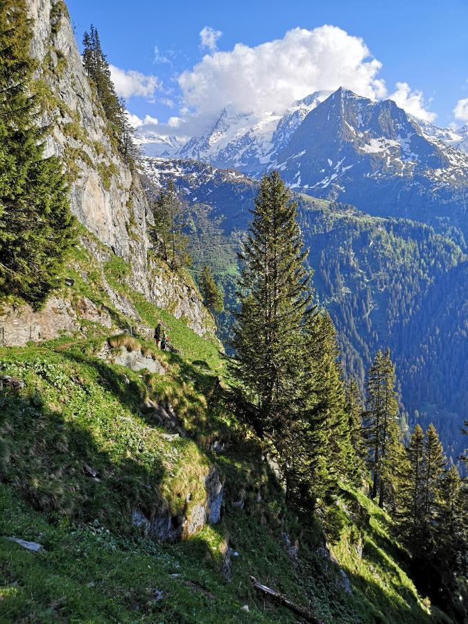 Le Cocon Du Catogne Proche Martigny Verbier - Netflix - Valettes Exterior photo