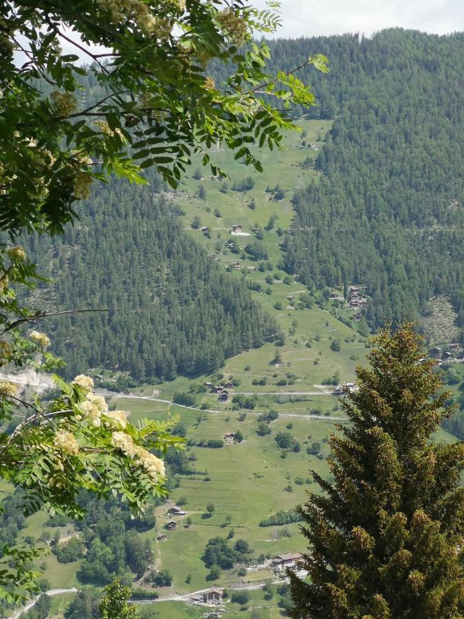Le Cocon Du Catogne Proche Martigny Verbier - Netflix - Valettes Exterior photo