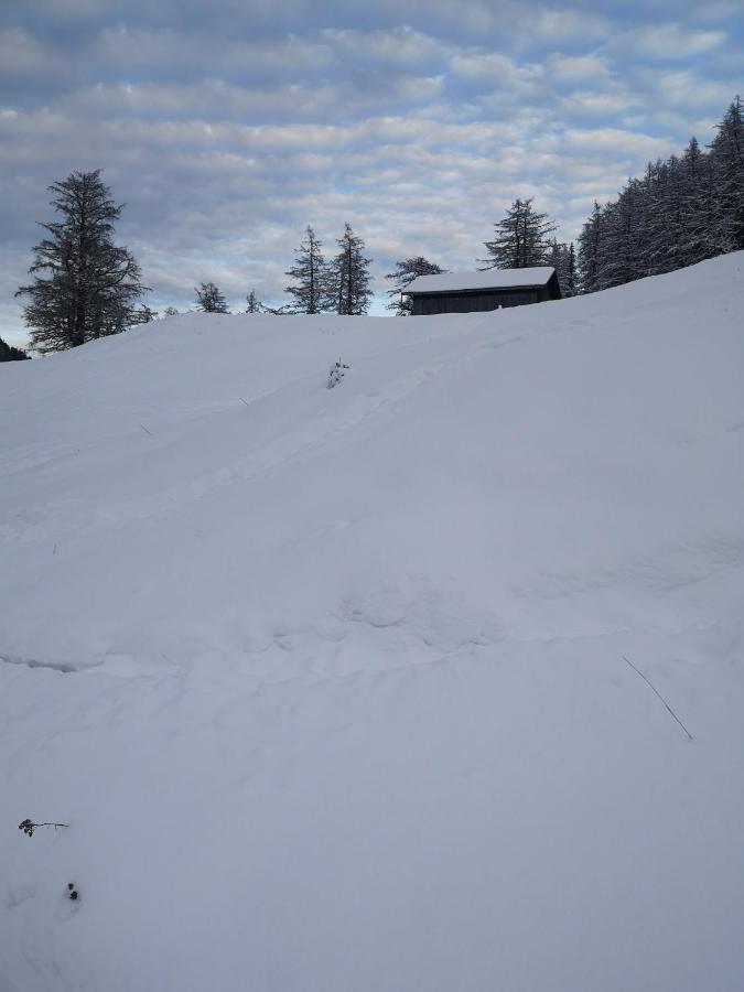 Le Cocon Du Catogne Proche Martigny Verbier - Netflix - Valettes Exterior photo